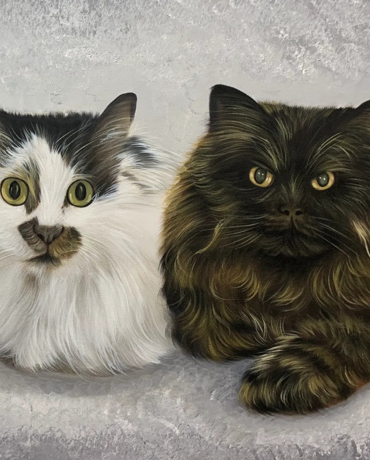 Custom Cat Portrait Oil Painting