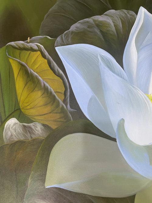 3d White Lotus Flower Texture on Canvas