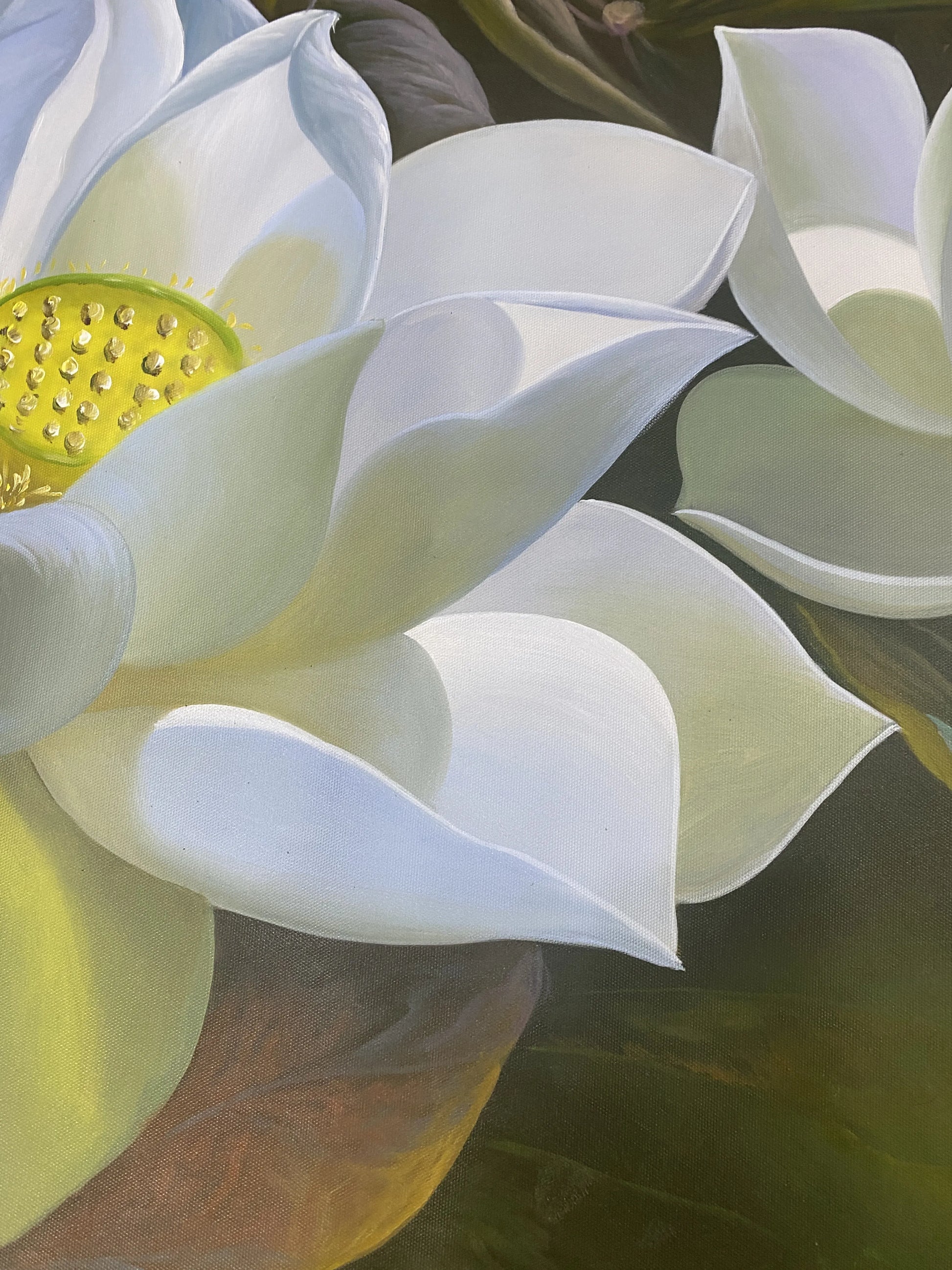 3d White Lotus Flower Texture on Canvas