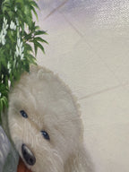 Pet Lost Gift Hand-painted Oil Painting