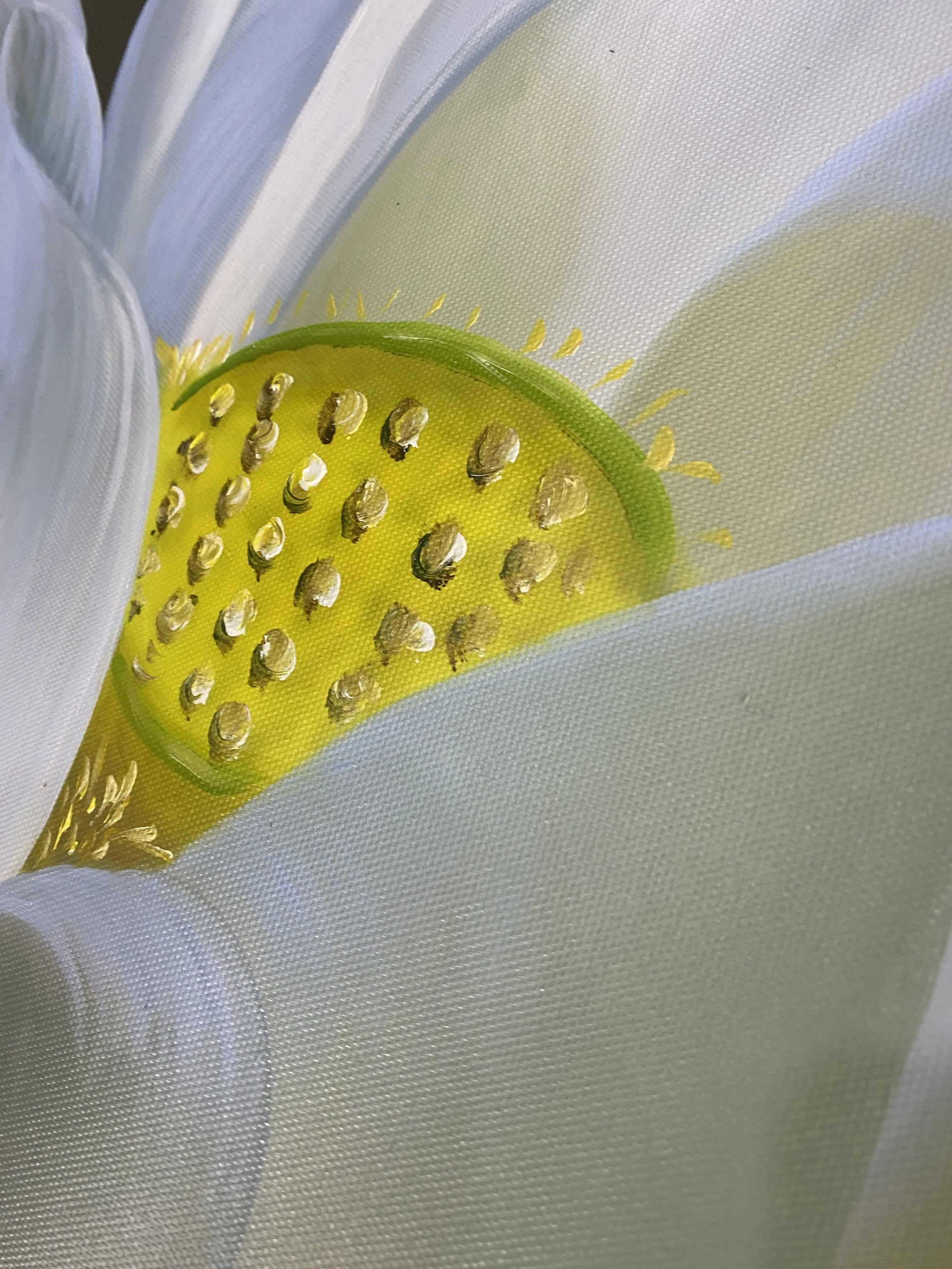 3d White Lotus Flower Texture on Canvas